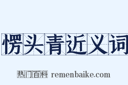 愣头青近义词是什么意思的图片